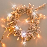 Catena Luminosa Natalizia a LED Professionale, 10 metri con 100 LED Ultra-Luminosi, Prolungabile, per Esterni, Effetto Flash, Luci di Natale da Esterno